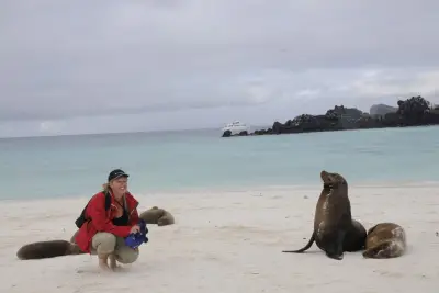 Sealions