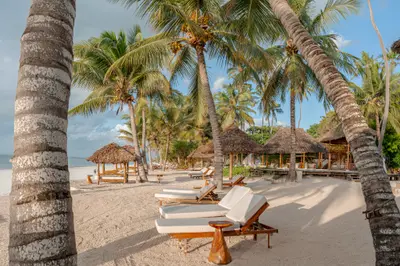 Palms and loungers on the sand