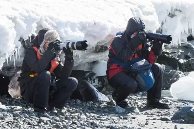 Guests photographing wildlife ashore