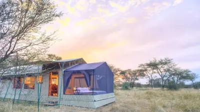 Star-gazing tent from outside