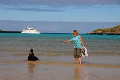 Sealions