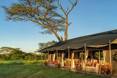 Main tent beneath a flat-topped acacia