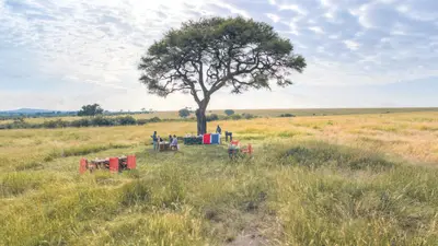 Guests at a bush breakfast
