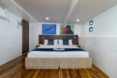 Lower Deck cabin