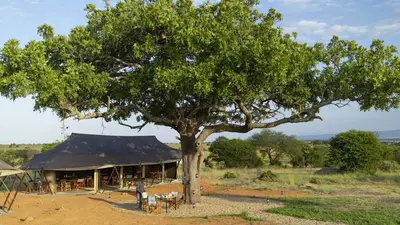 Main mess tent beneath a shade tree