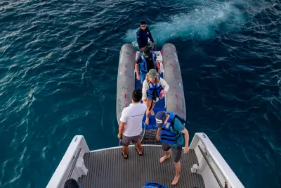 Dive Platform