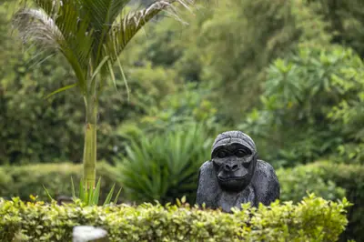 Gorilla sculpture in the gardens