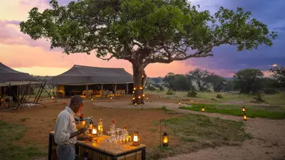 Main area & bar at dusk