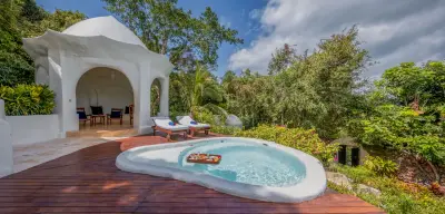 Garden View Villa plunge pool with floating breakfast