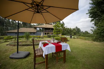 Garden table under the umbrella