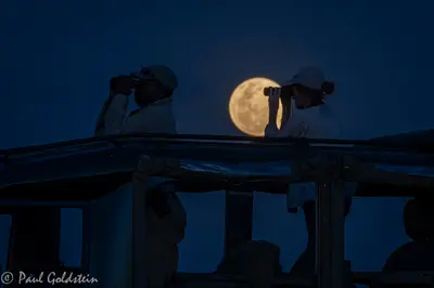 Night drive under a full moon (complimentary at Valley)