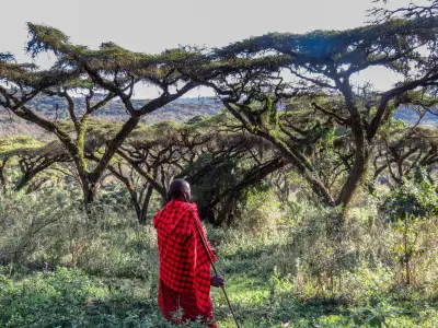 Maasai guide on a forest walk