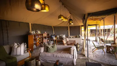 Main lounge tent