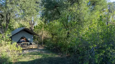 Double luxury tent tucked into the riverine forest