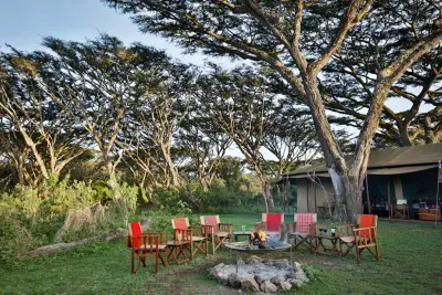 Campfire circle on the lawn