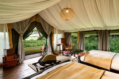 Standard tent (twin) opening onto the acacia forest