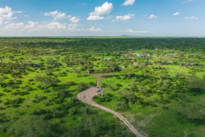 Aerial view over the Ndutu woodlands