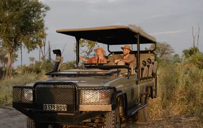 Game drive in the Gomoti concession