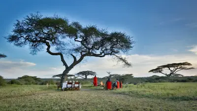 Private table set under a lone acacia