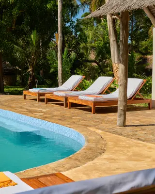 Pool loungers in the palm shade