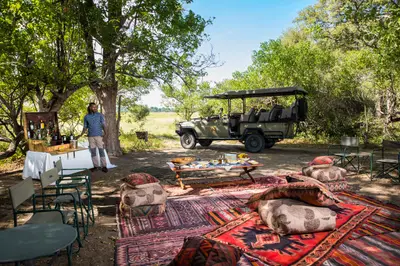 Bush picnic on Persian rugs