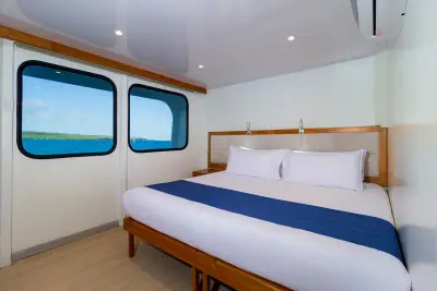 Double cabin (king setup)