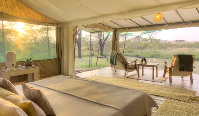 Tent interior looking out to the conservancy