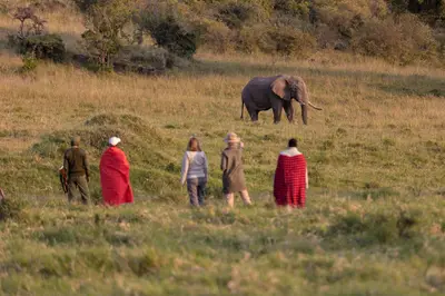 Bush walk near an elephant