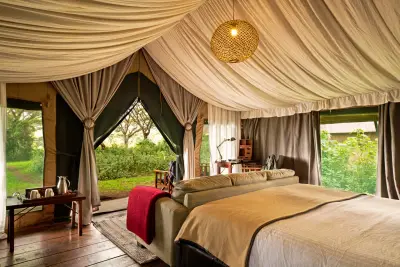 Standard tent — king bed with forest views