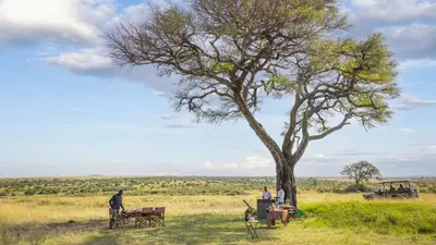 Bush breakfast under an acacia