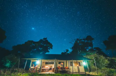 Camp under a starry sky