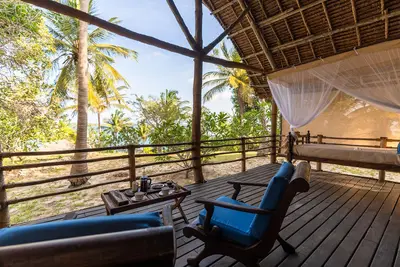 Veranda armchairs in the palm canopy