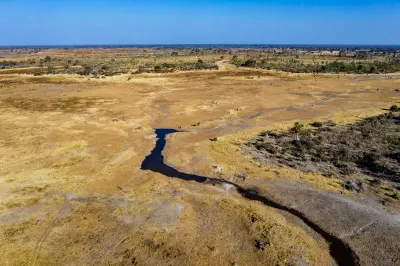 Aerial view over the Okavango