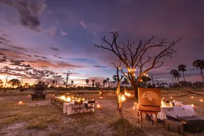 Lantern-lit bush dinner under a dead tree