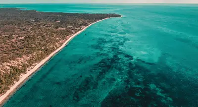 Turquoise shallows from above