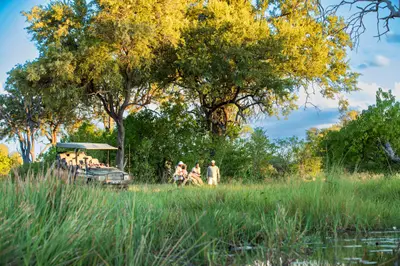 Guided walking safari