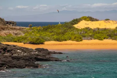 Island Exploration