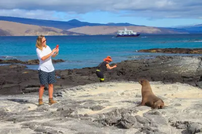 Island Exploration