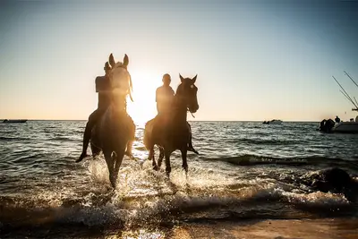 Horse riding through the shallows