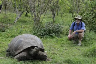 Giant Tortoise