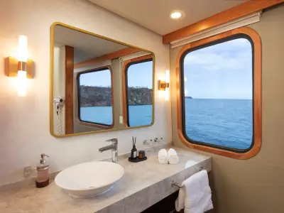 Owner's Suite bathroom