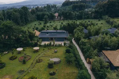 Lodge gardens from above