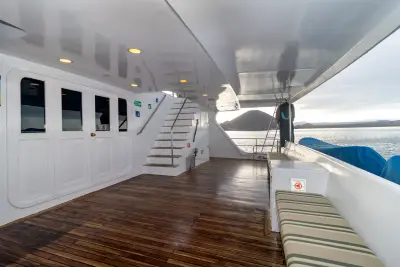 Dive Platform