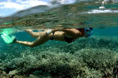 Snorkelling over Chole Bay's corals