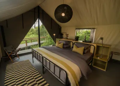 Luxury tent — king bed & monochrome rug