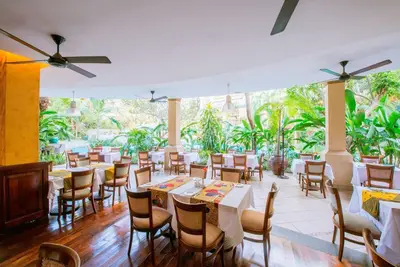Garden-view restaurant terrace