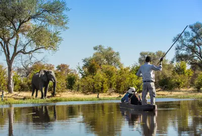 Mokoro with an elephant on the bank