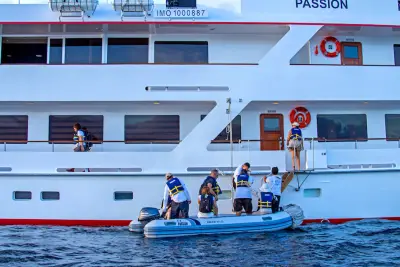 Swim platform / boarding