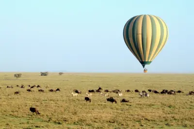Balloon over the wildebeest