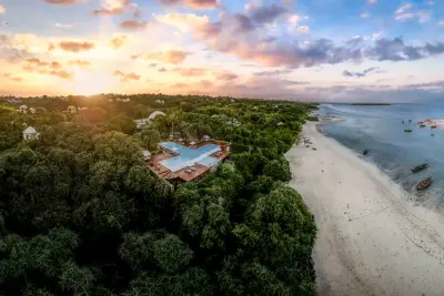Aerial at sunrise — Kendwa beach & forest